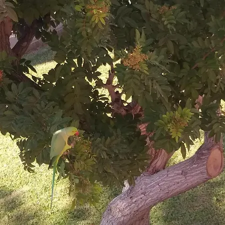 شقة Atlantico - 1 Avec Place De Parking Privative -