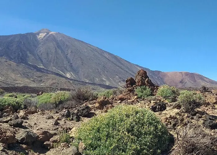 Atlantico - 1 Avec Place De Parking Privative - شقة *